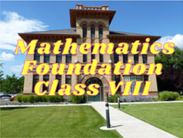 Mathematics (Foundation) - Class VIII